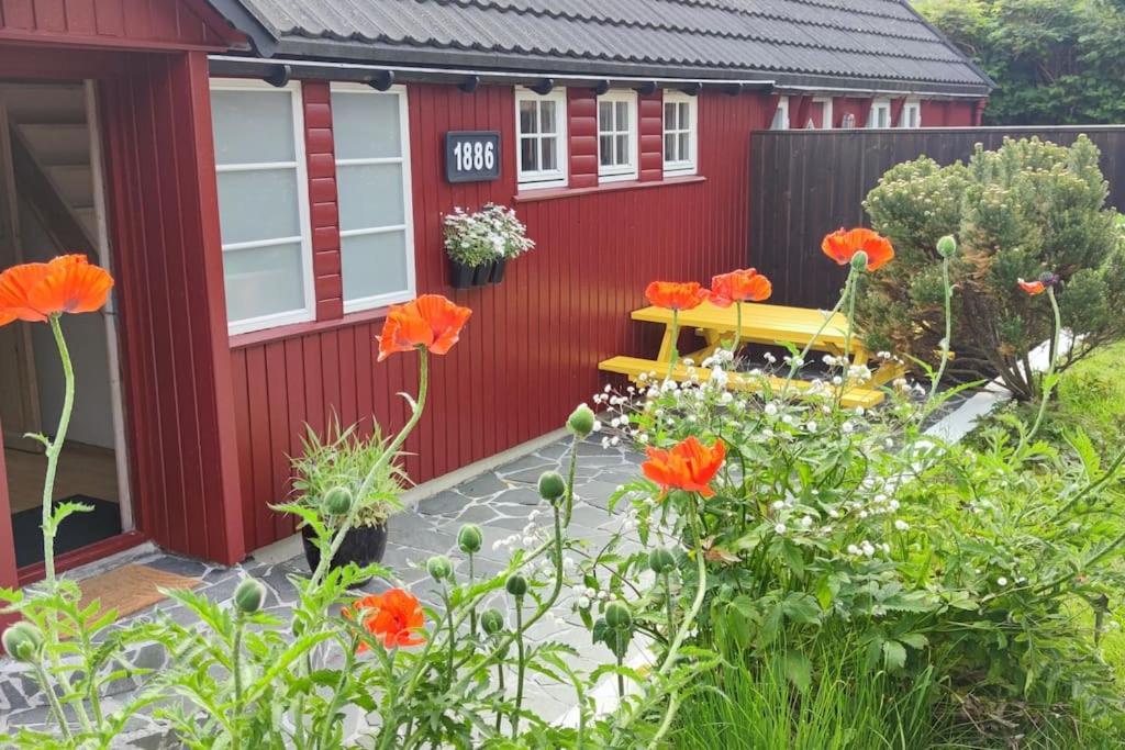 Cozy Cottage Klaksvík 外观 照片